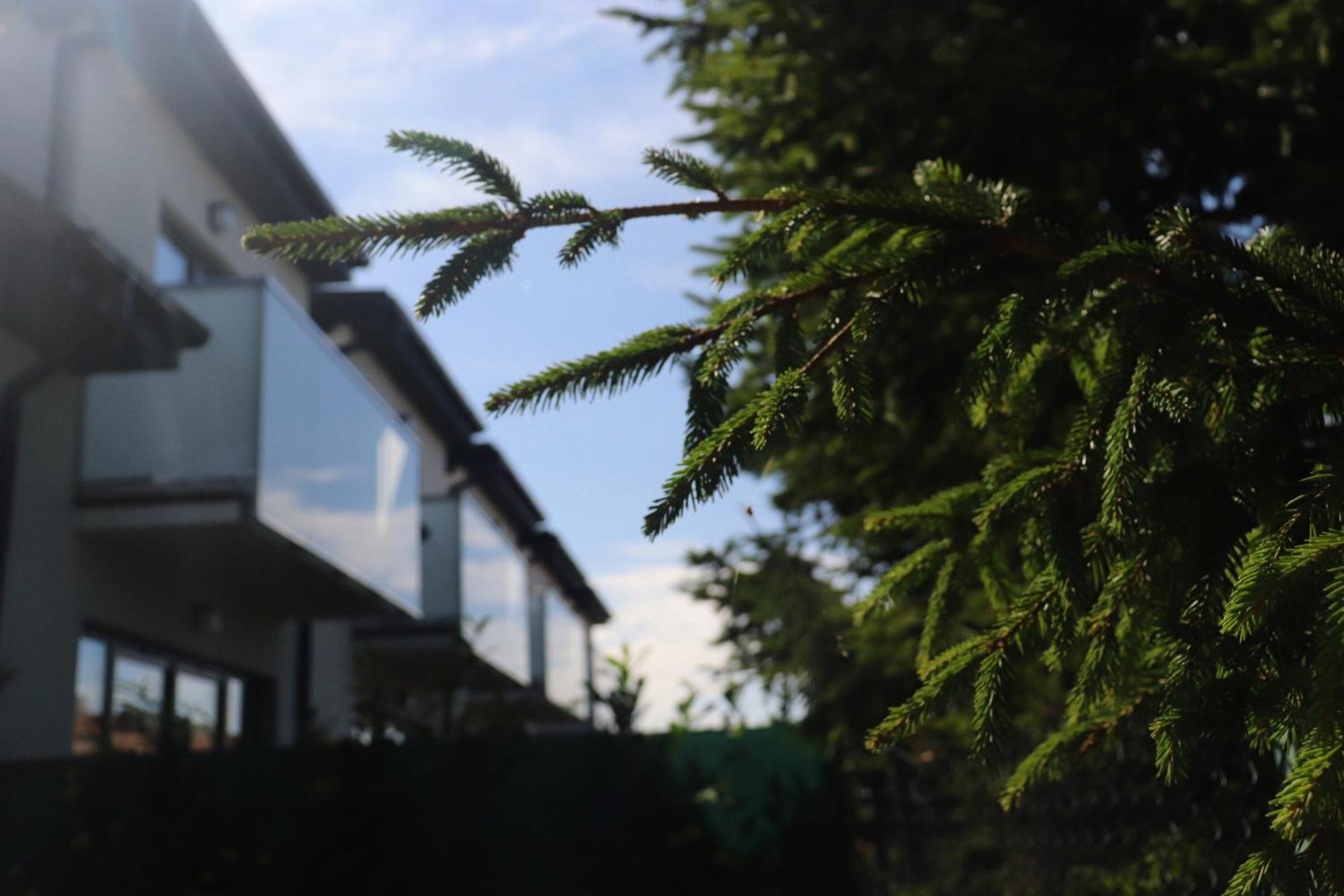 Blu Bay Villa Grzybowo  Buitenkant foto
