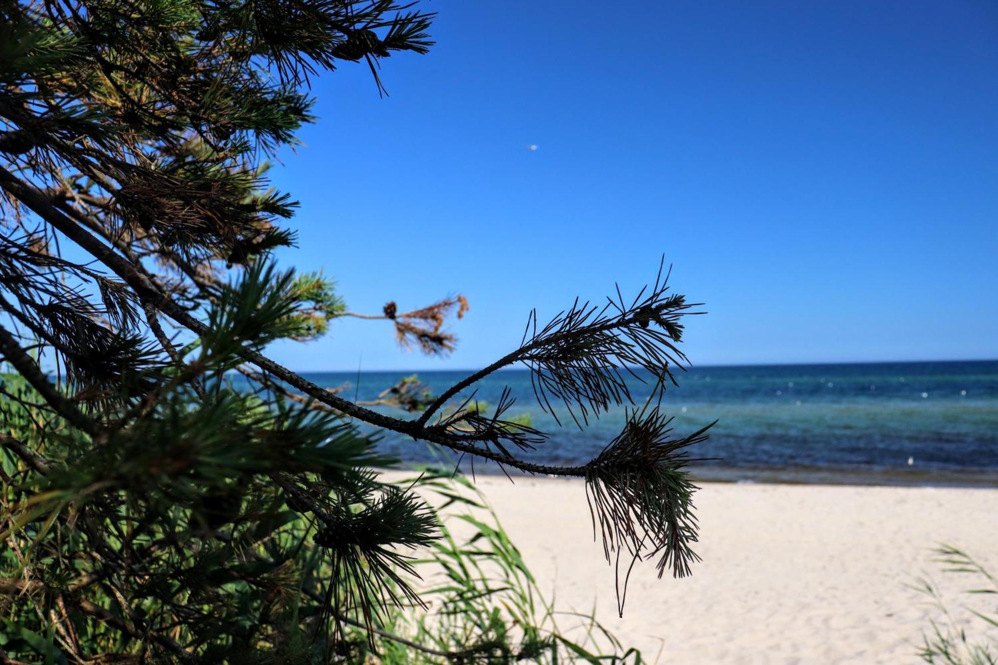 Blu Bay Villa Grzybowo  Buitenkant foto